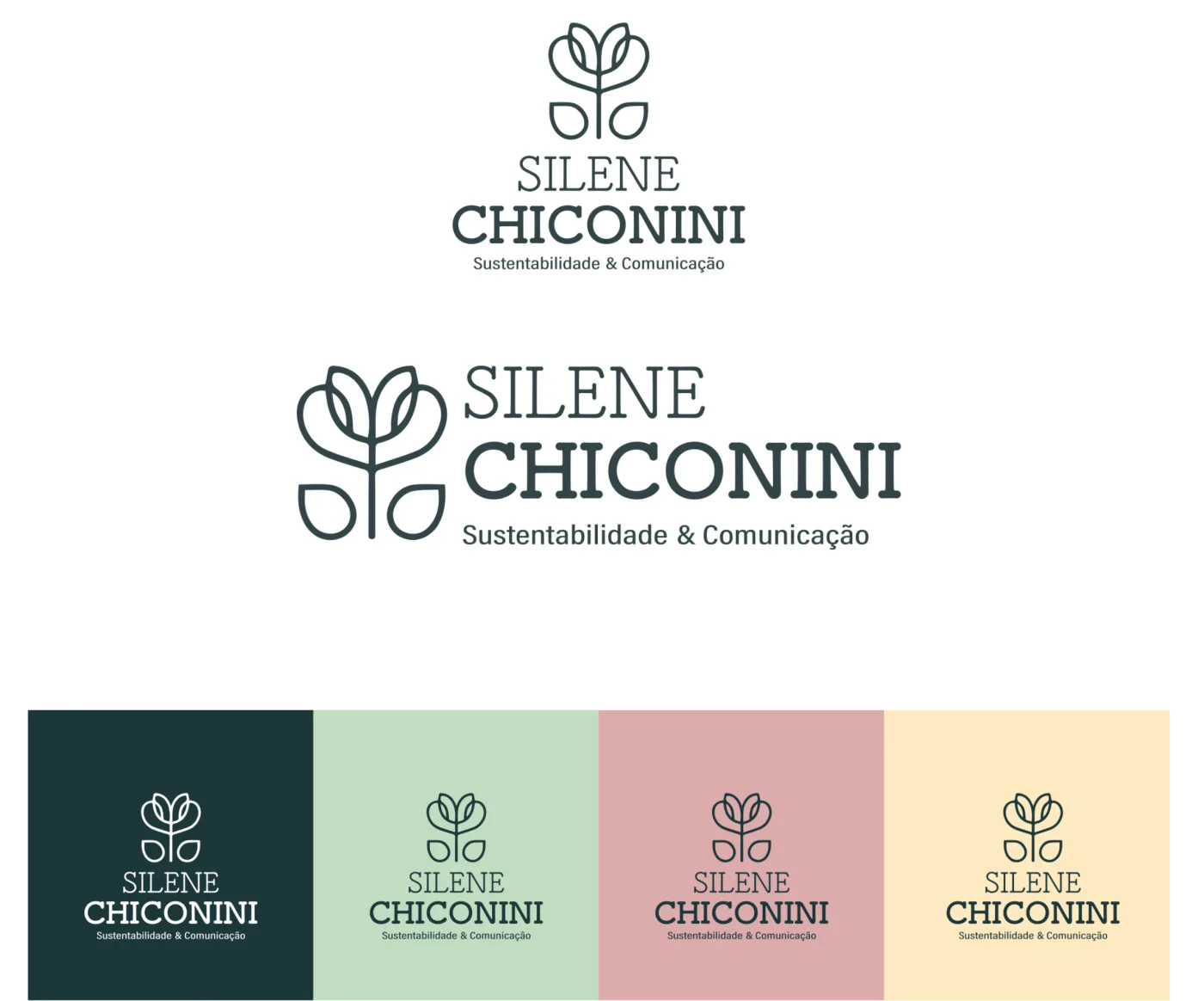 Silene Chiconini: Marca Pessoal: Comunicação e Sustentabilidade | Mclair