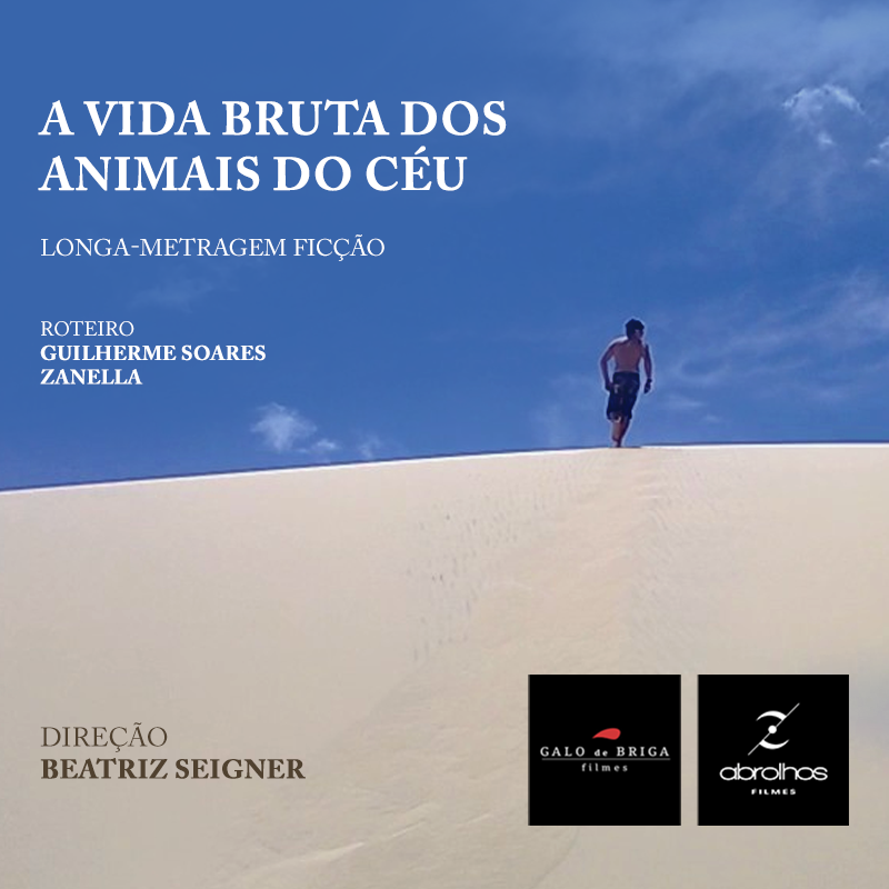 Abrolhos participa de mercado italiano com "A Vida Bruta dos Animais do Céu"