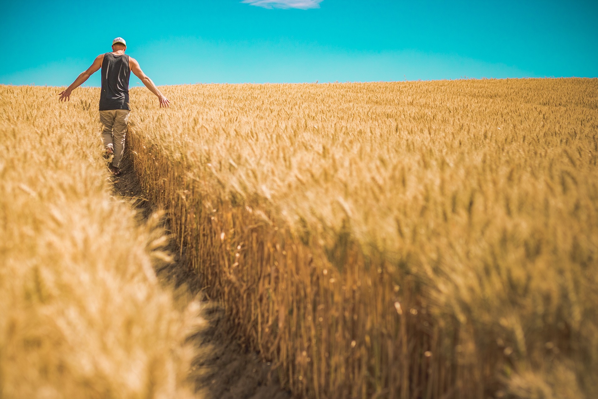Expo Prado 2022 recebe empresas brasileiras do setor agrícola